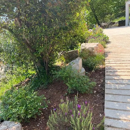 Katrina アパート *