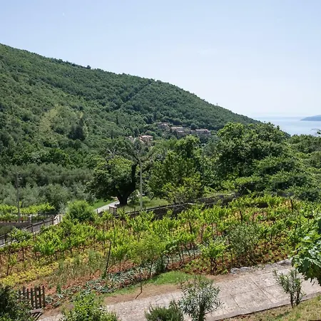 Katrina Апартаменты *